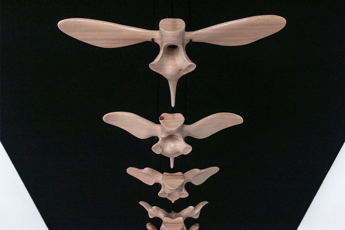 Vertical Evolution